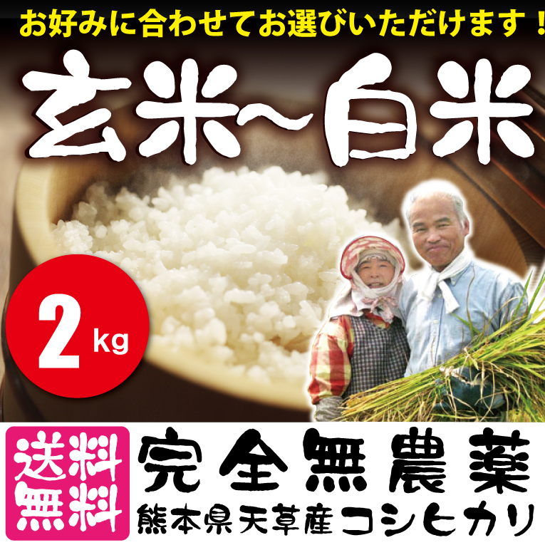 選ぶなら こしひかり 令和4年産 千葉県産 玄米 2kg 御中元 お歳暮 お