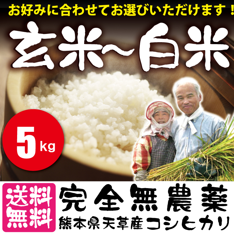 2022超人気 愛知県産白米１０キロ 令和3年古米 tyroleadership.com